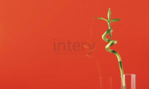 lacobel_2001_Orange-Classic