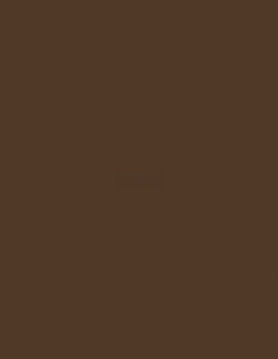 182 BS Dark Brown_vestavene_skrine_a_kuchyne