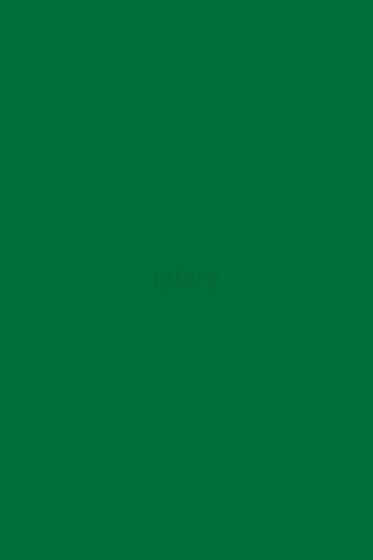 9561 BS Oxide Green_vestavene_skrine_a_kuchyne