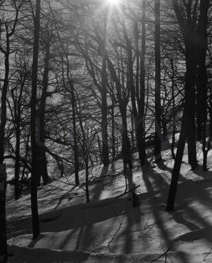 vestavene-skrine-na-miru-designglass-BW-28