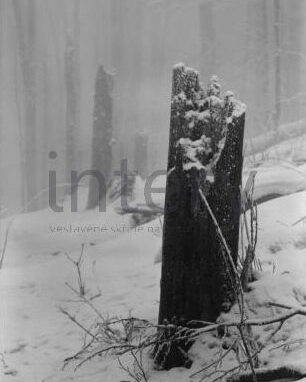 vestavene-skrine-na-miru-designglass-BW-38