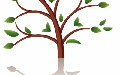 vestavene-skrine-na-miru-designglass-DG27